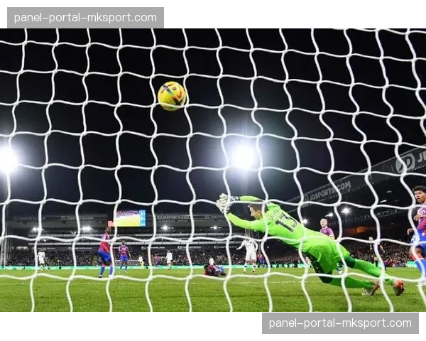 水晶宫公布赛前训练图集，内容显示球队重点进行了禁区前沿的任意球防守演练