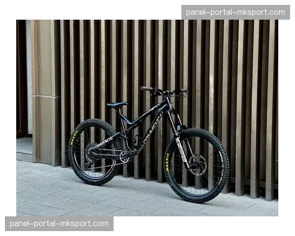 “干坠”VS“校园速降赛”:中国青少年山地车运动的“破圈”与“重塑” “干坠”VS“校园速降赛”:中国青少年山地车运动的“破圈”与“重塑”